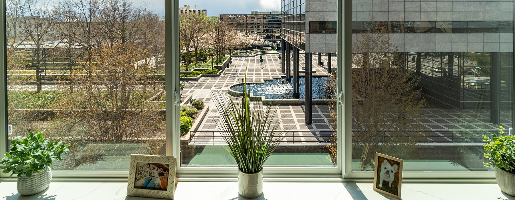 Views of the courtyard